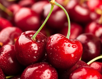 Cherry Úc – mùa vụ và những điều có thể bạn chưa biết